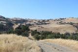 71902 Vineyard Canyon - Photo 6