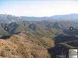 0 Stokes Canyon - Photo 1