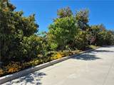 37305 Calle De Lobo - Photo 12