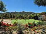 37305 Calle De Lobo - Photo 13