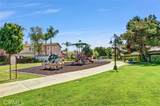 11499 Bridgeway Drive - Photo 53