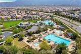 29217 Date Palm - Photo 40