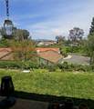 23722 Via Pellicer - Photo 59