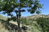 0 Off Off San Martinez Rd - Photo 2