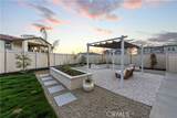 28618 Bloom Lane - Photo 41