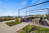 28618 Bloom Lane - Photo 52