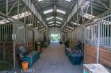 14134 Serpentine Farm Lane - Photo 31