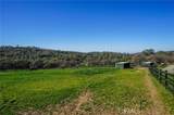 14134 Serpentine Farm Lane - Photo 37