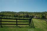 14134 Serpentine Farm Lane - Photo 45