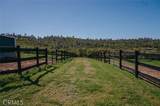 14134 Serpentine Farm Lane - Photo 49