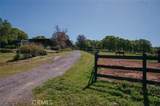 14134 Serpentine Farm Lane - Photo 50