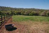 14134 Serpentine Farm Lane - Photo 51