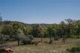 14134 Serpentine Farm Lane - Photo 63
