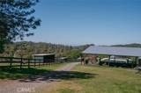 14134 Serpentine Farm Lane - Photo 65