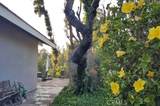 1355 Paseo Dorado - Photo 57