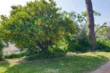 1355 Paseo Dorado - Photo 58
