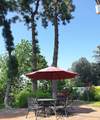 1355 Paseo Dorado - Photo 62
