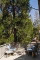 207 C Lane - Photo 22