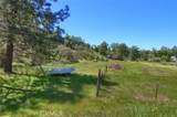 50366 Road 420 - Photo 37