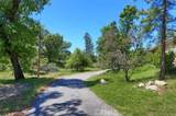 50366 Road 420 - Photo 45