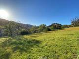 41346 Coalinga Mineral Springs Road - Photo 46