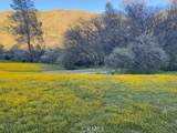 41346 Coalinga Mineral Springs Road - Photo 48