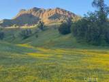 41346 Coalinga Mineral Springs Road - Photo 49