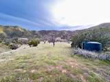 41346 Coalinga Mineral Springs Road - Photo 57