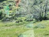 41346 Coalinga Mineral Springs Road - Photo 65
