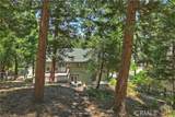 1208 Jungfrau Drive - Photo 5