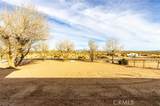 37176 Rozanne Drive - Photo 20