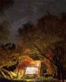 4461 Totokon Road - Photo 1