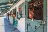 2171 Via Mariposa - Photo 29
