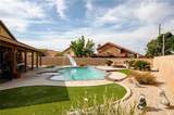 39356 Nicole Drive - Photo 3