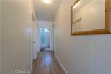 236 Catalina Street - Photo 11