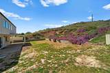 11526 Almazon Street - Photo 44