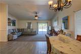 3005 Laura Lane - Photo 14
