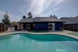 3005 Laura Lane - Photo 38