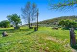 2815 Miller Valley Road - Photo 39