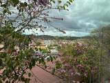 31916 Del Cielo Este - Photo 30