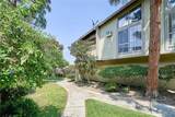 832 Coriander Drive - Photo 26