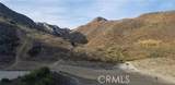 26 Chivo - Photo 1