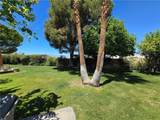 6234 Paseo De La Palma - Photo 31