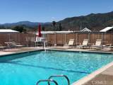 4095 Fruit - Photo 21