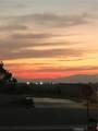 13691 Gavina Ave - Photo 40