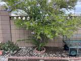 2550 Pacific Coast Hwy. #5 - Photo 2