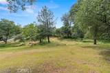 28 Elva Court - Photo 40