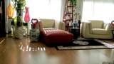 3340 Del Sol - Photo 3