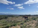35125 Hobbiton Road - Photo 33