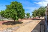 28001 Winged Foot Drive - Photo 22